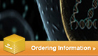 qPCR13_web